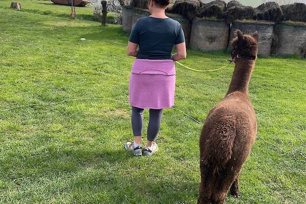 Frau mit Alpaka beim Alpaka Coaching